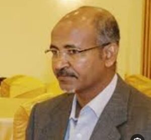 التسوية السياسية في السودان.. (من يحاور من)؟ 14 التسوية السياسية في السودان.. (من يحاور من)؟