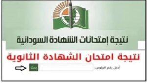 تعرف على تفاصيل نتيجة امتحان الشهادة السودانية