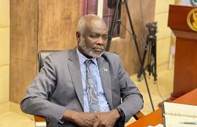 وزير المالية يقف على ضبطية مخدرات وأسلحة ببورتسودان 12 وزير المالية يقف على ضبطية مخدرات وأسلحة
