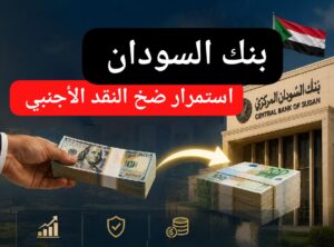 بنك السودان يواصل ضخ النقد الأجنبي ويعلن عن الإستجابة لطلبات الاستيراد 12 بنك السودان يواصل ضخ النقد الأجنبي ويعلن عن الإستجابة لطلبات الاستيراد