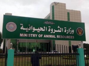 الثروة الحيوانية تخطط لإنفاذ 40 مشروعا وانشاء مدن للإنتاج الحيواني 12 الثروة الحيوانية تخطط لإنفاذ 40 مشروعا وانشاء مدن للإنتاج الحيواني