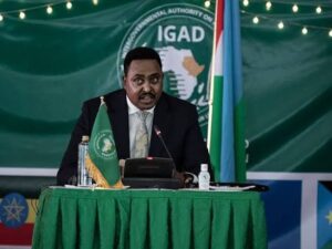 ورقني قبيهو : جئنا لنطوي صفحة الدمار والتخريب مع السودان يدا بيد!