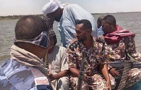 الشمالية تلاحق التماسيح