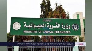 معالجات عاجلة للمزارعين بسنار والبنك الزراعي يطلق تعهدات 