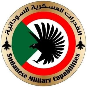 السودان يحصل على سرب من المقاتلات الأولى من نوعها في أفريقيا ! 12 السودان يحصل على سرب من المقاتلات الأولى من نوعها في أفريقيا !