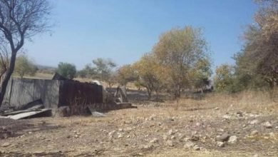 هجوم جديد لمشيات أثيوبية على الفشقة وفقدان 30 عامل حصاد 15 2436 c947f