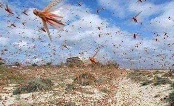 FB IMG 1610856732144