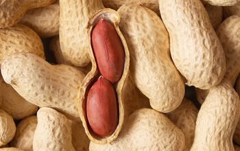 image search 1609743486226