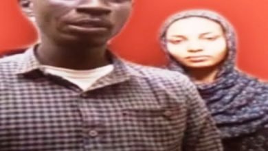 احمد ونعمات