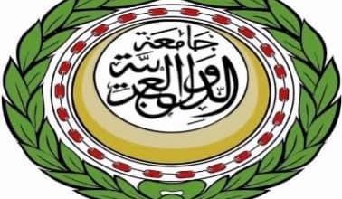 تفاصيل لقاء وزير الخارجية بأمين عام جامعة الدول العربية