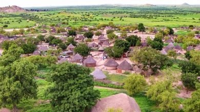 عاجل ..الفشقة تستغيث 16 الفشقة طبيعة