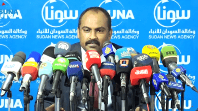 محمد الفكي سليمان