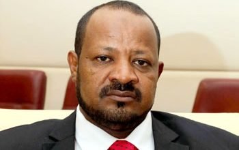 والي شمال دارفور