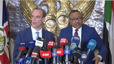 وزيرين خارجية