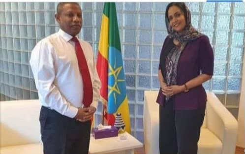 ٢٠٢١٠١١٣ ٢٠٢٦٤٥