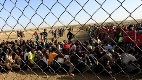 116444657 mediaitem116444656