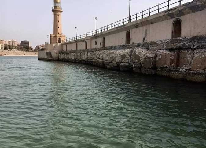 الري: لهذه الاسباب (.....)الموسم الشتوي افضل من السابق 11 1276773 0