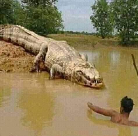 FB IMG 1613303564307