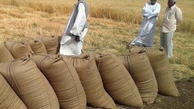 توجيهات مهمة لوزير المالية بشأن حصاد القمح 15 جابر يقف على ترتيبات الموسم الزراعي والمخزون الاستراتيجي للبلاد