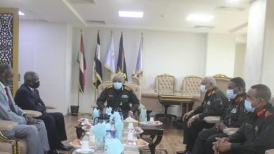 رئيس الاركان يؤكد قدرة الجيش على حماية الحدود 17 رئبي الاركان