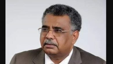 محمد عصمت
