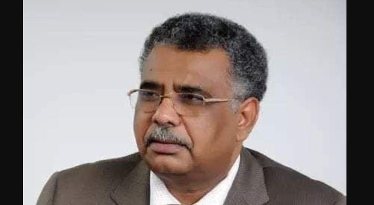 محمد عصمت