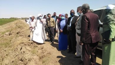 والية نهر النيل