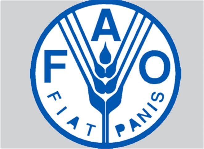 thumbs b c 9e8a9ba9fff4a41434765c34b54b1b3e