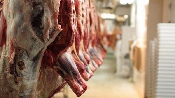 الاردن تعتمد خطة جديدة لاستيراد اللحوم السودانية.. تعرف عليها 17 946