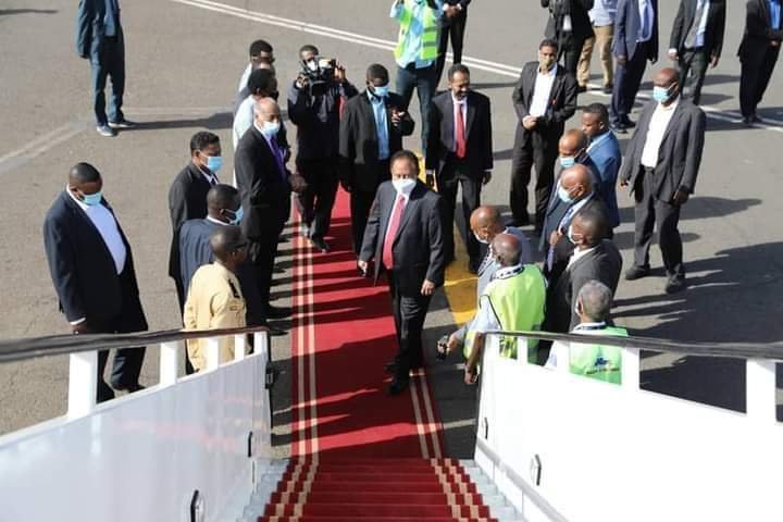 186474498 1711748169009901 6924234769176714141 n