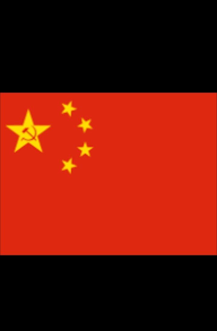 IMG ٢٠٢١٠٥١٩ ١٠٥١٥٣