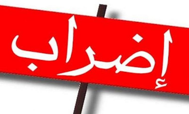 Doc P 828927 637581406901483482 780x470 1