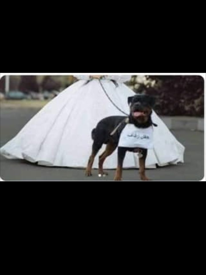 IMG ٢٠٢١٠٧١٠ ٠٦٥٢٥١