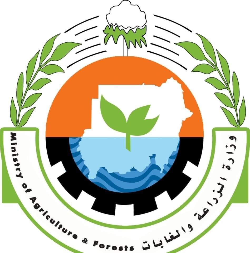 162757846 497570524987486 2969994442676741431 n