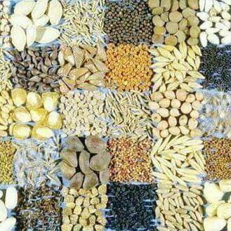 FB IMG 1627906218349