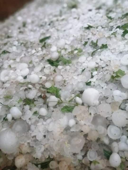 الشكينيبة تمطر ثلجا 16 FB IMG 1629286917016