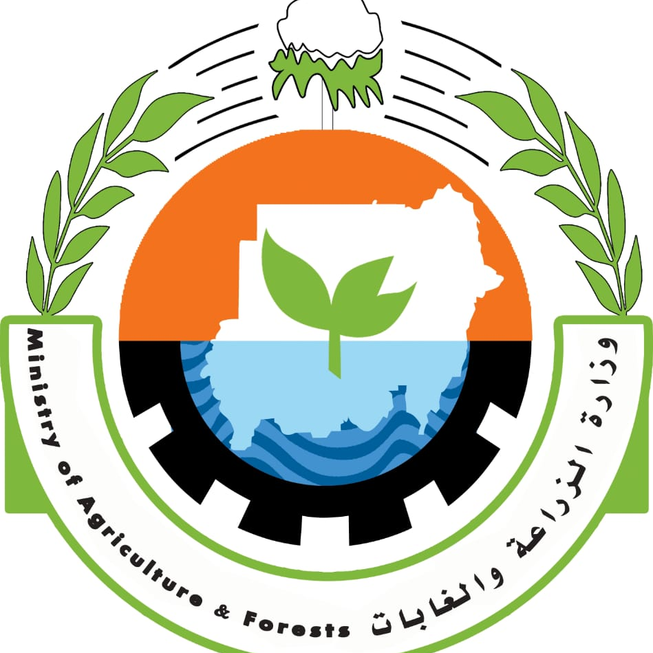 شركات ألمانية وإيطالية وفرنسية تشارك في معرض السودان الزراعي التقني 18 156740973 2854293548222879 8930731572739521044 n