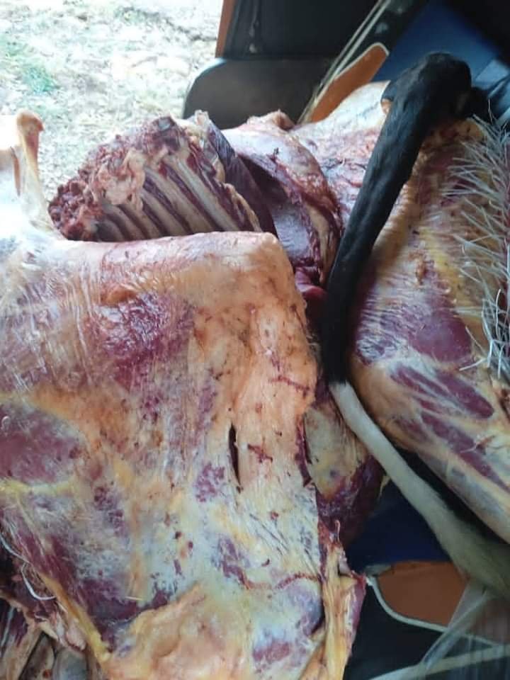 توقيف شاب قام بذبح بقرة نافقة بهذه المنطقة 16 IMG 20211006 WA0025