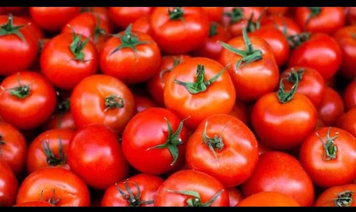 IMG ٢٠٢١١٠٠٥ ١٢٢٣٠٠