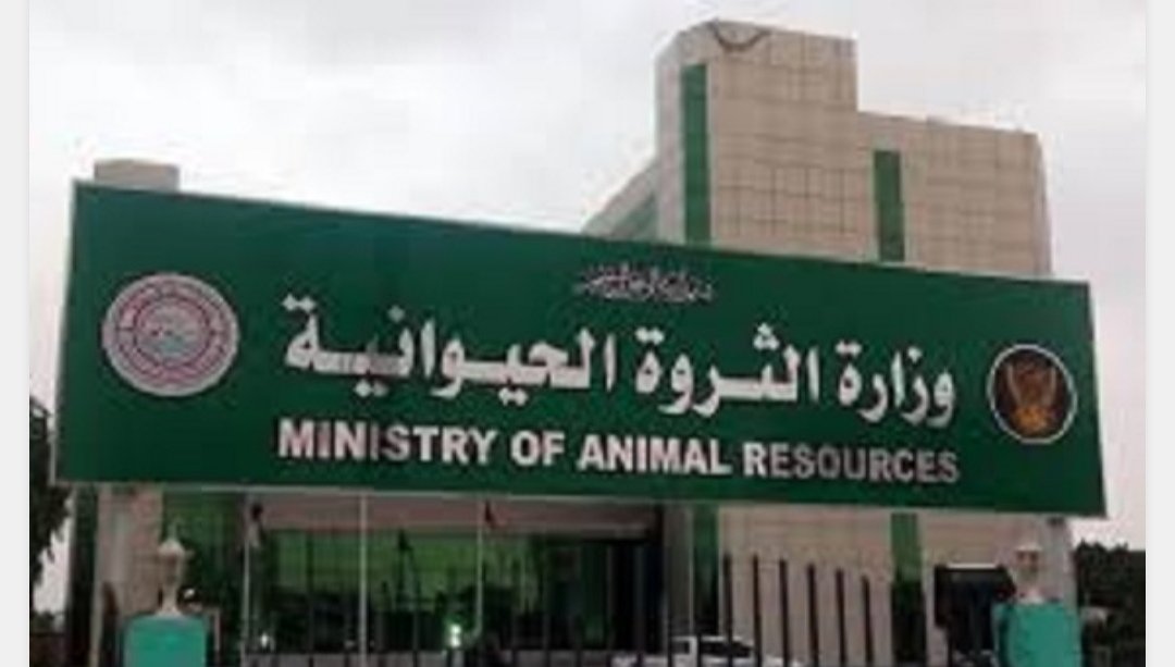 Screenshot ٢٠٢١١٠٠٣ ١٦١٥٤٤