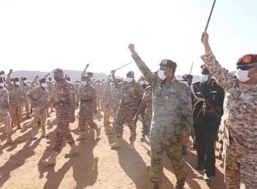 261057736 454332979550217 2308656162874330289 n