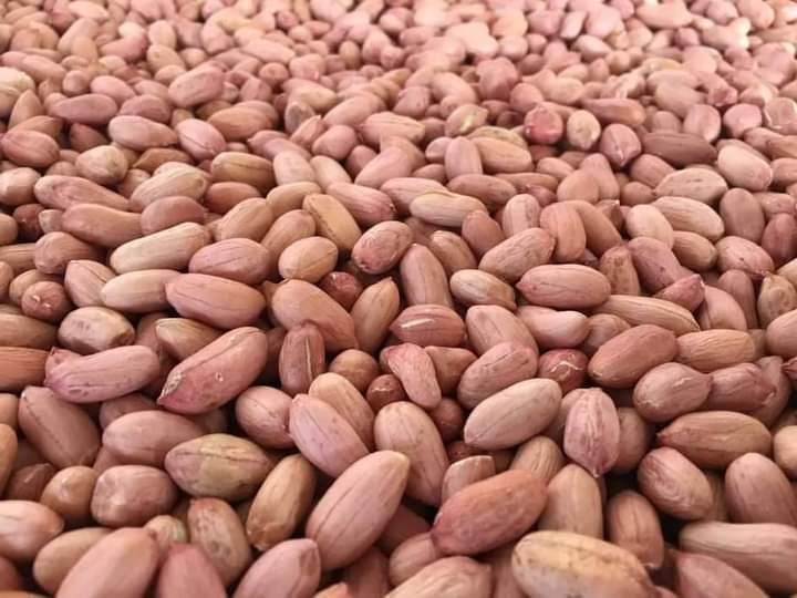 FB IMG 1639557435185