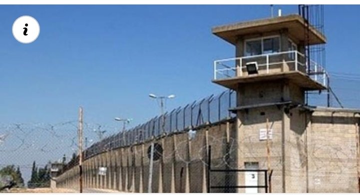 بسبب الخيار والفقوس.. اضراب مساجين بسجن الهدى 16 IMG ٢٠٢٢٠١٢٤ ١٩٣٣١٩