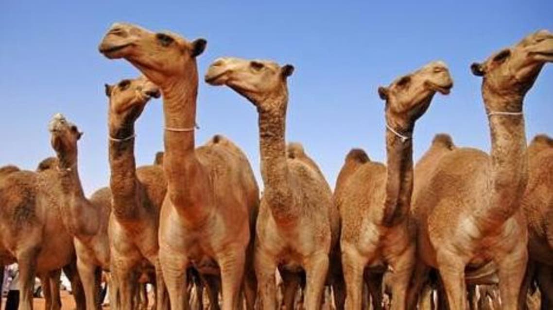 0ddb3538 4dd1 41a1 9bd9