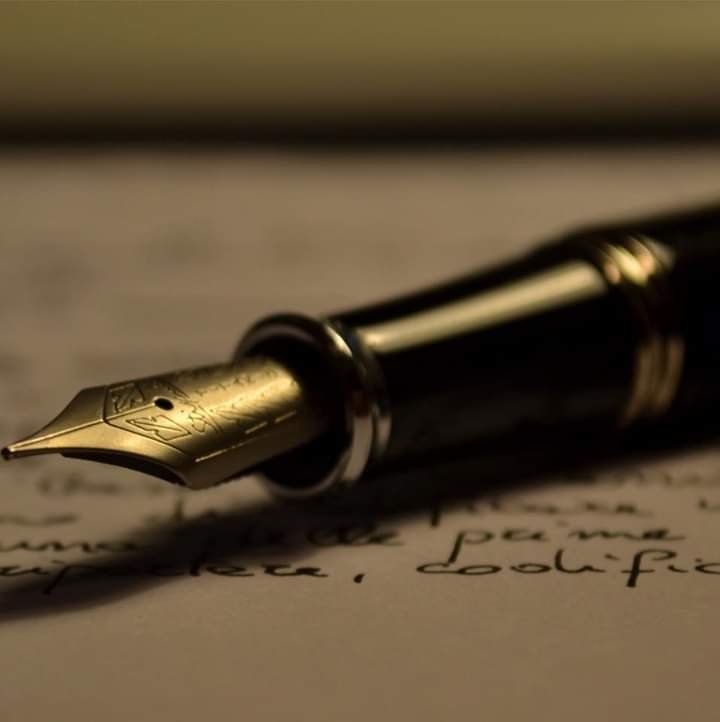 د. طارق محمد عمر يكتب : تمويل سفارات اجنبية للتظاهرات 16 FB IMG 1644408830226