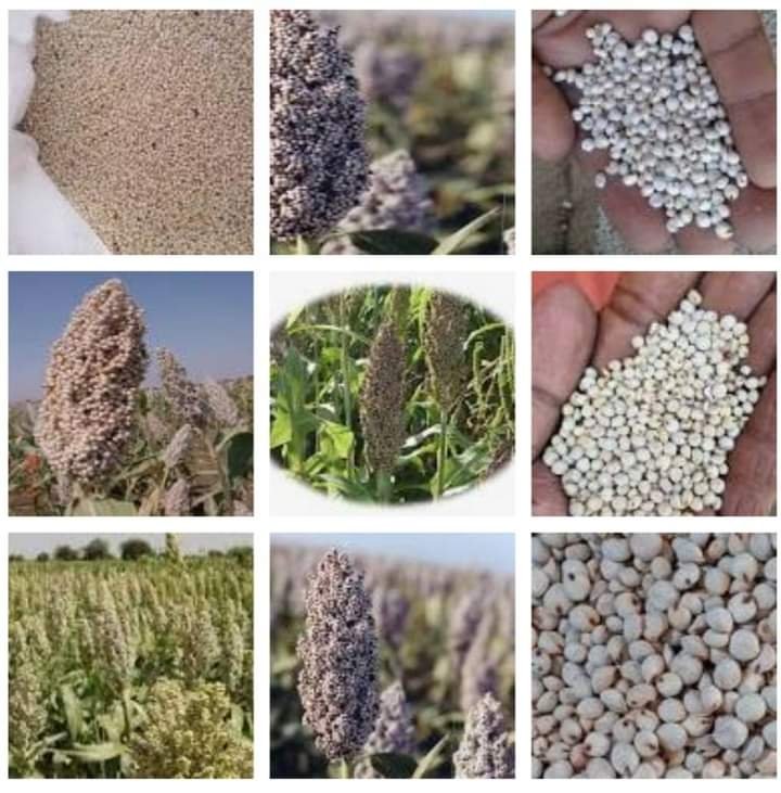 FB IMG 1644417933689