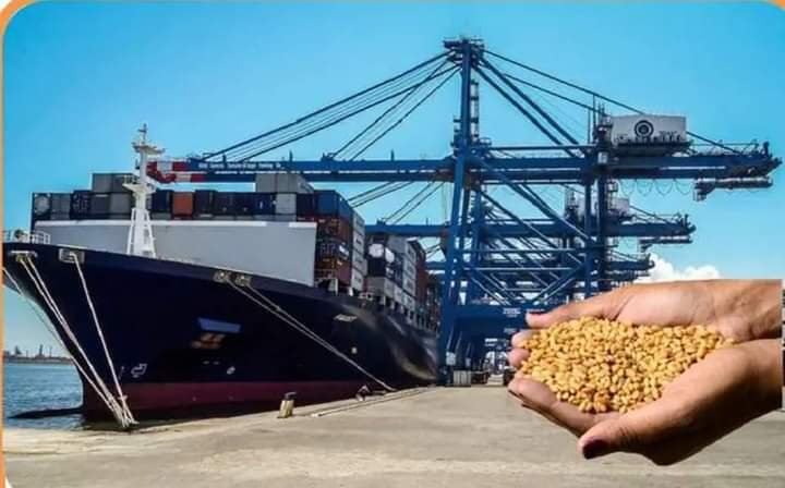 FB IMG 1644664674415