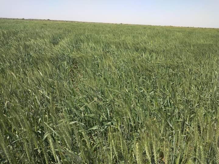 FB IMG 1645468009720