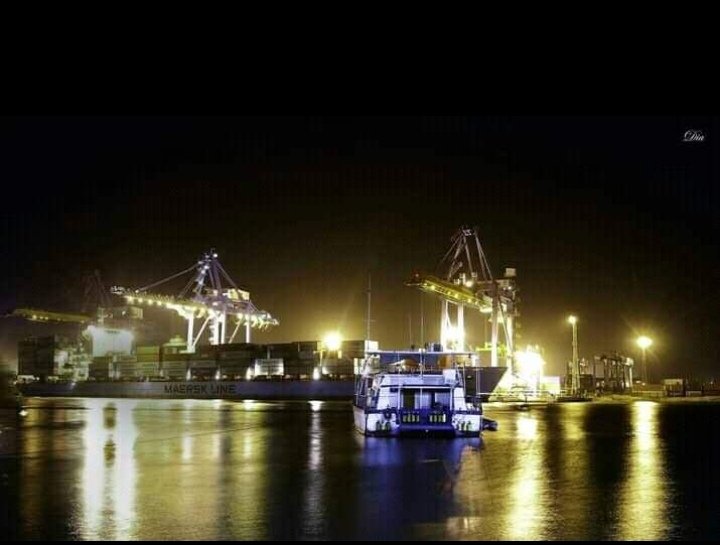 IMG ٢٠٢٢٠٢١٤ ١١٢٣١٣