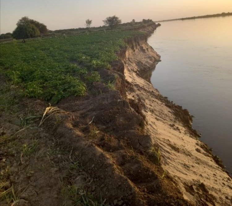 IMG ٢٠٢٢٠٢١٦ ١٣٥٣٠٦